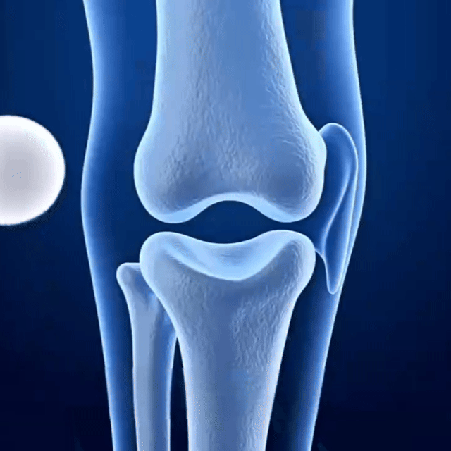 1780915233885987.gif